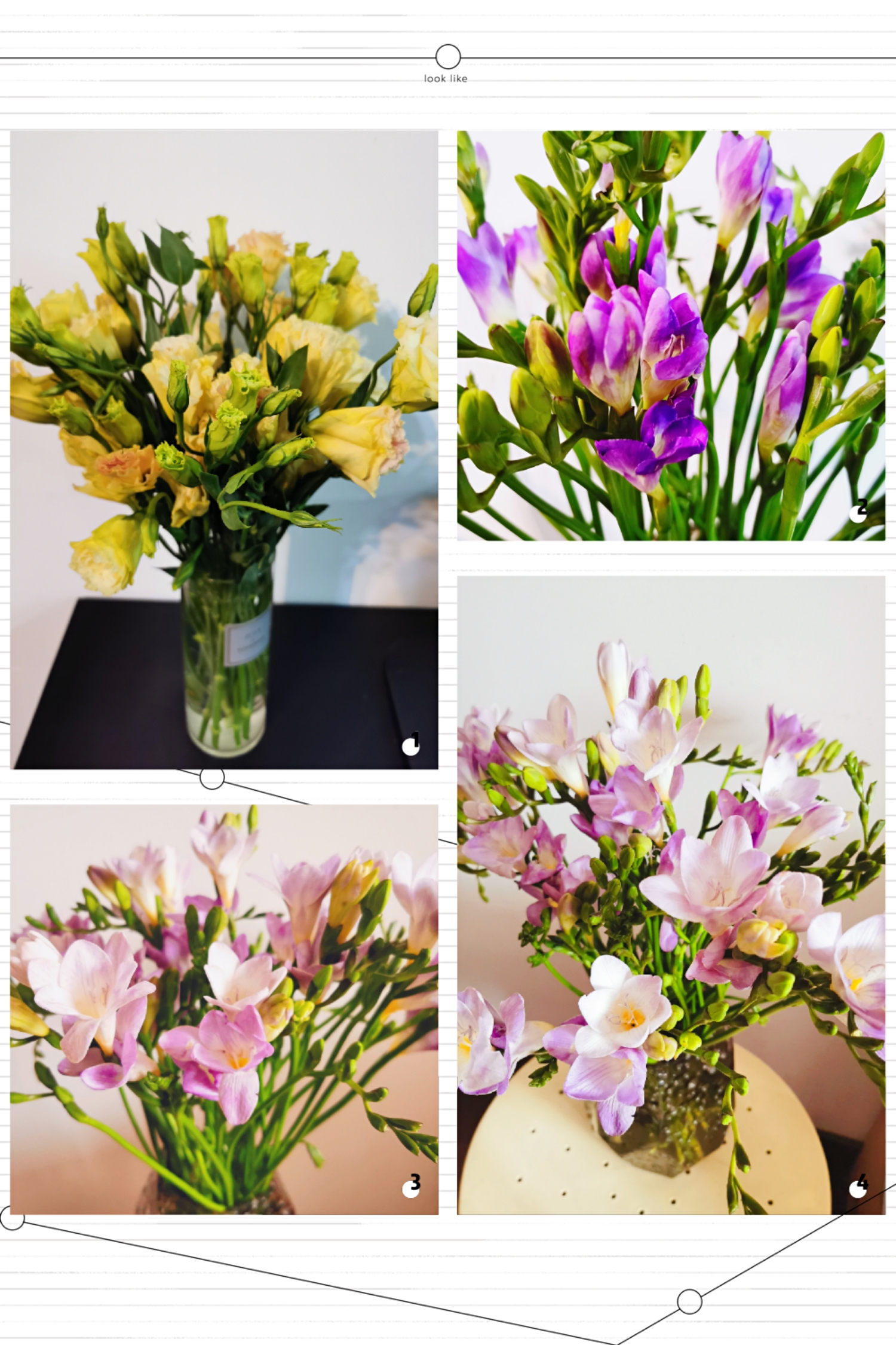 Happy Women’s Day | 戰疫時期，這個三八節，我們“e”起過！